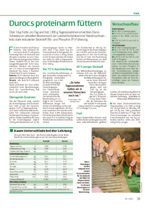 TIER Durocs proteinarm füttern Über 3 kg Futter pro Tag und fast 1300 g Tageszunahmen erreichten Duroc- Schweine im aktuellen Mastversuch der Landwirtschafskammer Niedersachsen – trotz stark reduzierter Stickstoff (N)- und Phosphor (P)-Fütterung.