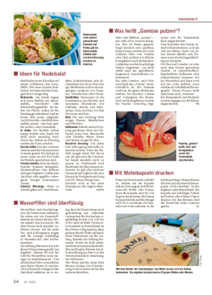 HAUSHALT ■ Ideen für Nudelsalat Nudelsalat ist ein Klassiker auf einem Grillabend oder Party- büffet.