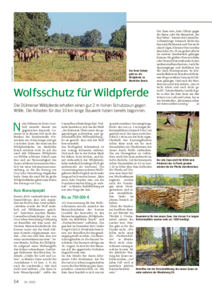 Wolfsschutz für Wildpferde Die Dülmener Wildpferde erhalten einen gut 2 m hohen Schutzzaun gegen Wölfe.