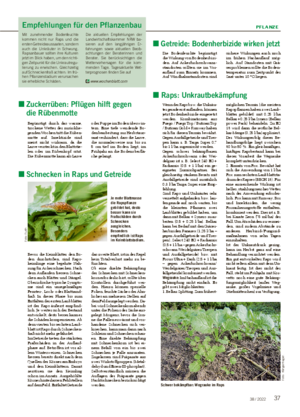 PFLANZE 3738 / 2022 Empfehlungen für den Pflanzenbau Mit zunehmender Bodenfeuchte kommen nicht nur Raps und die ersten Getreideaussaaten, sondern auch die Unkräuter in Schwung.
