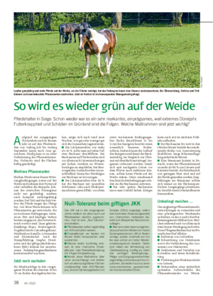 38 40 / 2022 So wird es wieder grün auf der Weide Pferdehalter in Sorge: Schon wieder war es ein sehr markantes, einprägsames, weil extremes Dürrejahr.