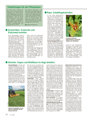 22 42 / 2022 ■ Getreide: Ungras und Blattläuse im Auge behalten Ungrasbekämpfung: Aktuell sind Ackerfuchsschwanz und Wei- delgräser sehr keimfreudig.