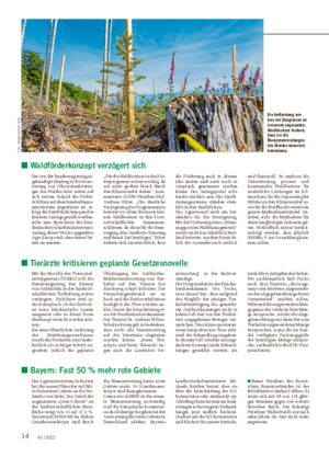 14 43 / 2022 ■ Waldförderkonzept verzögert sich Der von der Bundesregierung an- gekündigte Einstieg in die Hono- rierung von Ökosystemleistun- gen des Waldes lässt weiter auf sich warten.