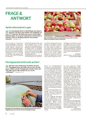 6 44 / 2022 FR AGE & ANTWORT Äpfel schimmeln im Lager ■ Ich habe Boskoop-Äpfel im Kartoffellager eines Bauern deponiert.