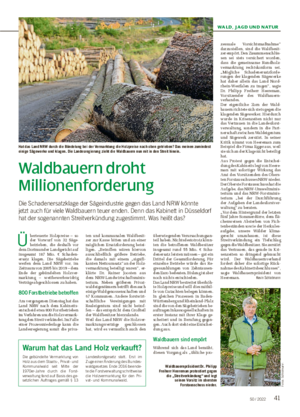 WALD, JAGD UND NATUR 4150 / 2022 Waldbauern droht Millionenforderung Die Schadenersatzklage der Sägeindustrie gegen das Land NRW könnte jetzt auch für viele Waldbauern teuer enden.