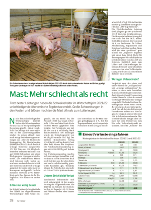 28 52 / 2022 Mast: Mehr schlecht als recht Trotz bester Leistungen haben die Schweinehalter im Wirtschaftsjahr 2021/22 unbefriedigende ökonomische Ergebnisse erzielt.