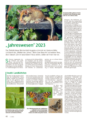 40 1 / 2023 „Jahreswesen“ 2023 Das Titelbild dieser Wochenblatt-Ausgabe schmückt ein Gartenschläfer und damit das „Wildtier des Jahres“.