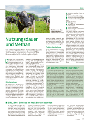 TIER 354 / 2023 Nutzungsdauer und Methan Seit Jahren hagelt es Kritik: Kühe würden zu viele Treibhausgase verursachen.
