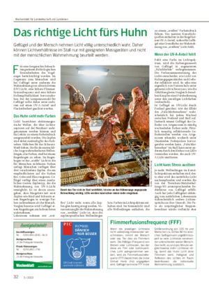 32 5 / 2023 Das richtige Licht fürs Huhn Geflügel und der Mensch nehmen Licht völlig unterschiedlich wahr.