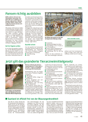 TIER 457 / 2023 Jetzt gilt das geänderte Tierarzneimittelgesetz Mit der Änderung des Tierarz- neimittelgesetzes (TAMG) gibt es seit dem 1.