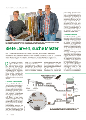 18 9 / 2023 Biete Larven, suche Mäster Das Unternehmen Illucens aus Ahaus züchtet, mästet und verarbeitet Insekten in industriellem Maßstab.