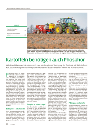 26 9 / 2023 Kartoffeln benötigen auch Phosphor Viele Kartoffelanbauer fokussieren sich zwar auf die optimale Versorgung der Bestände mit Stickstoff und Kali, doch die Aufgaben von Phosphor in Pflanze und Boden verdienen ebenso viel Aufmerksamkeit.