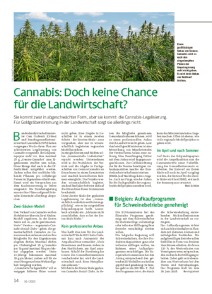 14 16 / 2023 Cannabis: Doch keine Chance für die Landwirtschaft?