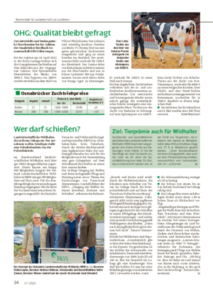 34 17 / 2023 OHG: Qualität bleibt gefragt Gut entwickelte und leistungsstar- ke Tiere konnten bei der Auktion der Osnabrücker-Herdbuch Ge- nossenschaft (OHG) überzeugen.