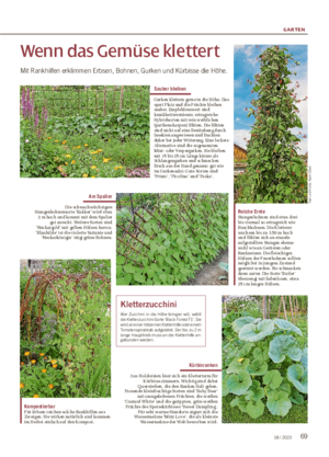 GARTEN 6918 / 2023 Wenn das Gemüse klettert Mit Rankhilfen erklimmen Erbsen, Bohnen, Gurken und Kürbisse die Höhe.