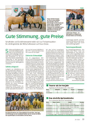 TIER 3320 / 2023 Gute Stimmung, gute Preise Schafhalter und Schafinteressierte trafen sich zur Frühjahrsauktion für Jährlingsböcke der Wirtschaftsrassen auf Haus Düsse.