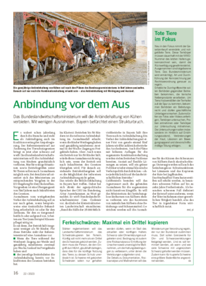 16 22 / 2023 Anbindung vor dem Aus Das Bundeslandwirtschaftsministerium will die Anbindehaltung von Kühen verbieten.