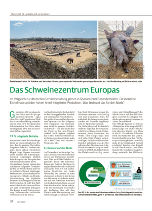 34 22 / 2023 Das Schweinezentrum Europas Im Vergleich zur deutschen Schweinehaltung gibt es in Spanien zwei Besonderheiten: Die iberische Eichelmast und den hohen Anteil integrierter Produktion.
