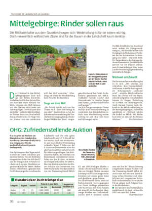 36 22 / 2023 Mittelgebirge: Rinder sollen raus Die Milchviehhalter aus dem Sauerland sorgen sich: Weidehaltung ist für sie extrem wichtig.
