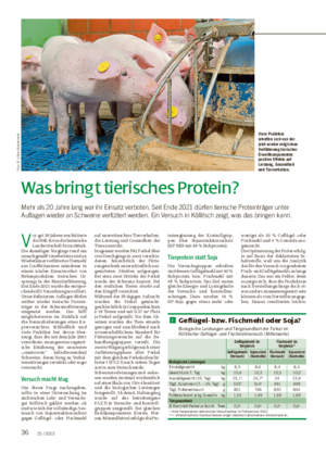 36 25 / 2023 Was bringt tierisches Protein?