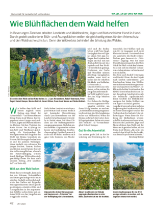 42 29 / 2023 WALD, JAGD UND NATUR Wie Blühflächen dem Wald helfen In Beverungen-Tietelsen arbeiten Landwirte und Waldbesitzer, Jäger und Naturschützer Hand in Hand.