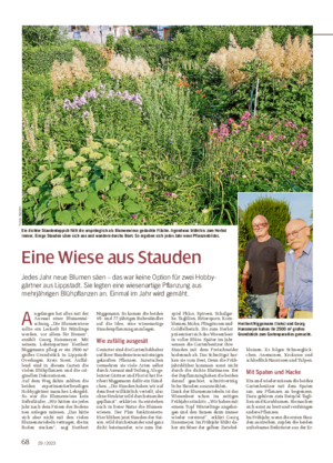 68 29 / 2023 Eine Wiese aus Stauden Jedes Jahr neue Blumen säen – das war keine Option für zwei Hobby- gärtner aus Lippstadt.
