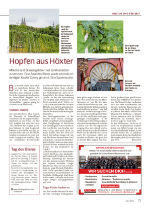 KULTUR UND FREIZEIT 7131 / 2023 Hopfen aus Höxter Mönche und Brauen gehören seit Jahrhunderten zusammen.