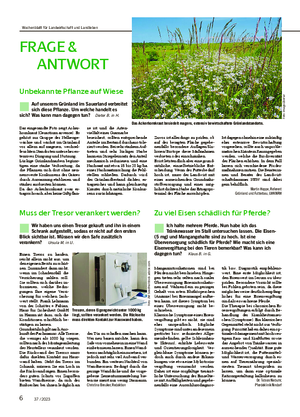 6 37 / 2023 FR AGE & ANTWORT Unbekannte Pflanze auf Wiese n Auf unserem Grünland im Sauerland verbreitet sich diese Pflanze.