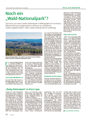 58 5 / 2024 WALD, JAGD UND NATUR Noch ein „Wald-Nationalpark“?