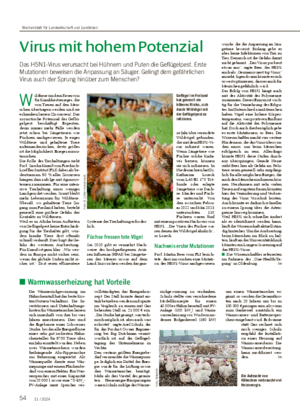 54 11 / 2024 Virus mit hohem Potenzial Das H5N1-Virus verursacht bei Hühnern und Puten die Geflügelpest.